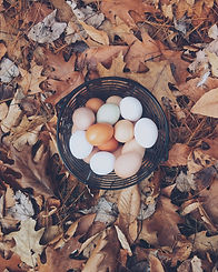 Image by Autumn Mott Rodeheaver